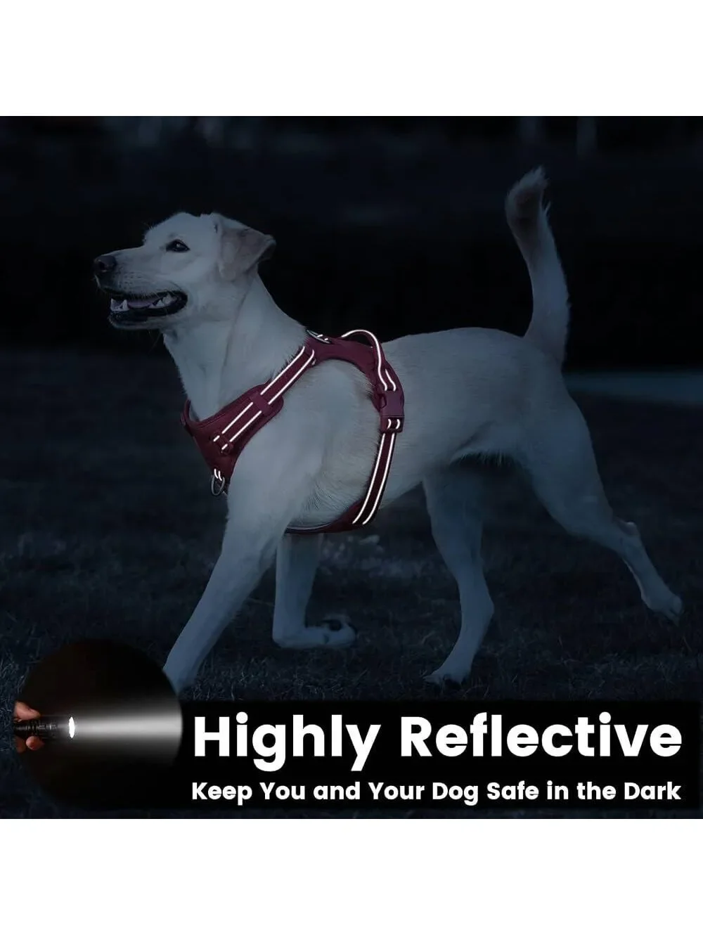 NWT Sunraymascota Burgundy Red Adjustable Dog Harness with Reflective Strips